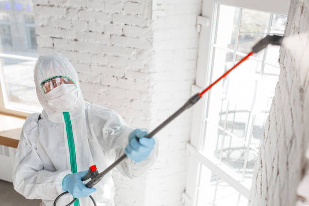 Best Mold Remediation for Healthcare Facilities  in Sacred Heart University, CT