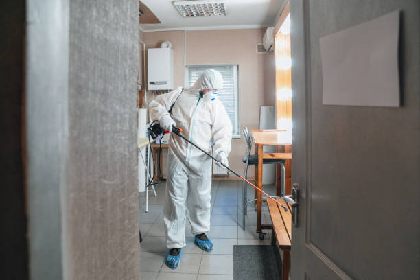 Best Mold Removal for HVAC Installations  in Sacred Heart University, CT