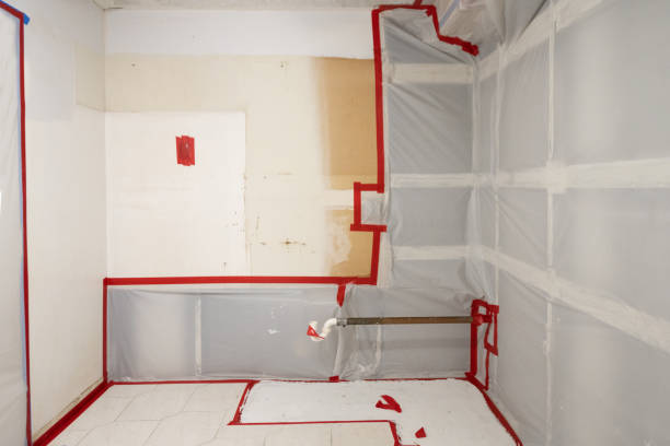 Best Airborne Mold Testing  in Sacred Heart University, CT