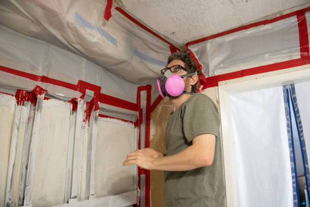 Best Water Damage & Mold Remediation  in Sacred Heart University, CT